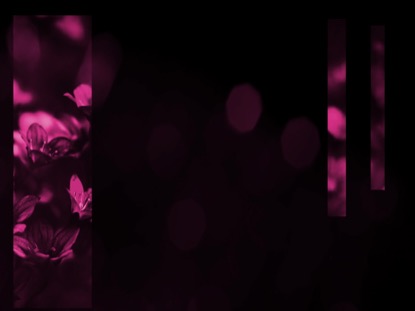 LIGHT OF GRACE 3 MOTION