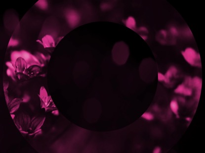 LIGHT OF GRACE 4 MOTION