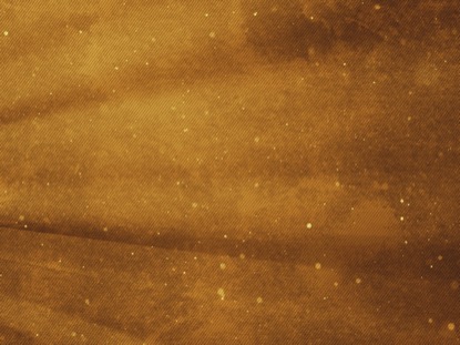 MORNING RAYS MOTION 3