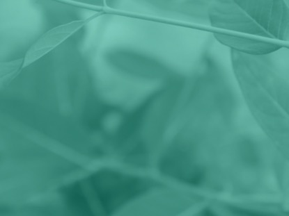 NATURAL SERENITY MOTION 2