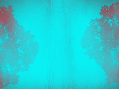 NATURES ECHO 1 MOTION