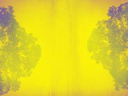 NATURES ECHO 3 MOTION