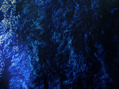 NATURES PALETTE 5 MOTION