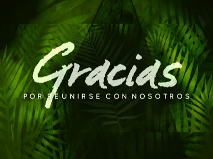 PALM LEAF CLOSING MOTION - SPANISH