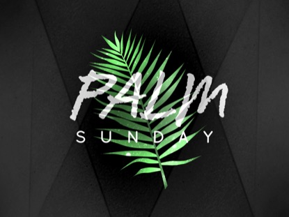 PALM LEAF SUNDAY MOTION