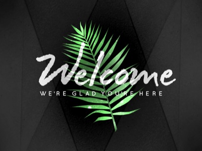 PALM LEAF WELCOME MOTION
