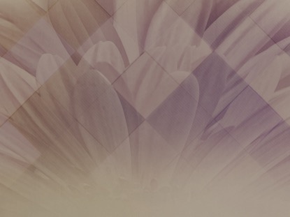 PASTEL FLOWER 1 MOTION