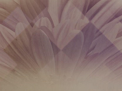 PASTEL FLOWER 2 MOTION