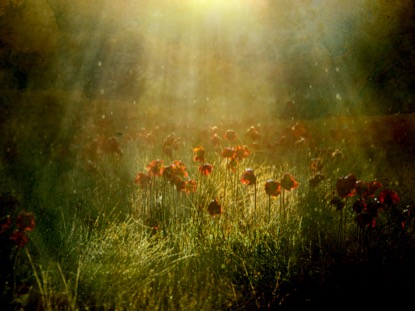 Revealing Nature 2 Motion Playback Media Worshiphouse Media Explore the latest collection of praise for wallpapers, backgrounds for powerpoint, pictures and photos in high resolutions that come in different sizes to fit your desktop perfectly and presentation templates. usd