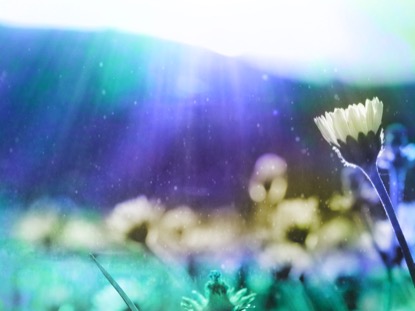 REVEALING NATURE 3 MOTION