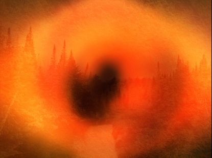 RADIANT HARVEST MOTION 10