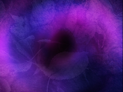 RADIANT HARVEST MOTION 5