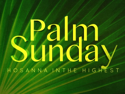 RADIANT PALMS MOTION 6