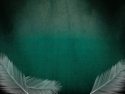 REDEMPTION PALM MOTION