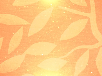 SEASONAL DISPLAY MOTION 3