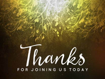 SPICED WOODS CLOSING MOTION