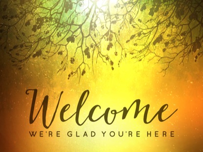 SPICED WOODS WELCOME 1 MOTION