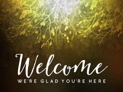 SPICED WOODS WELCOME 2 MOTION