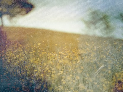 SPRING FORWARD 3 MOTION