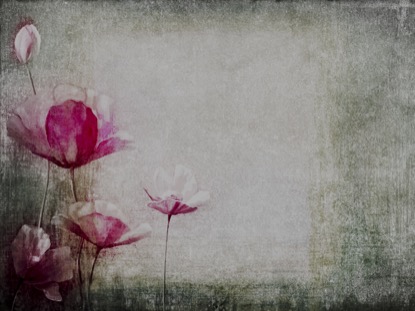 SPRING PAINTING 1 MOTION