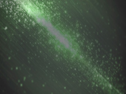 STARDUST GREEN MOTION