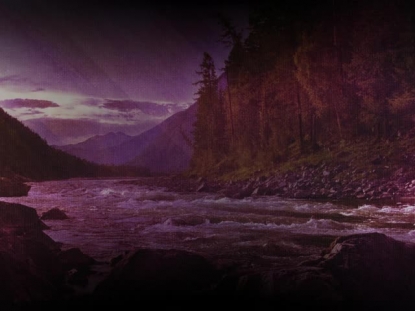 STREAMING BEAUTY 5 MOTION