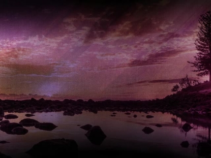 STREAMING BEAUTY 8 MOTION