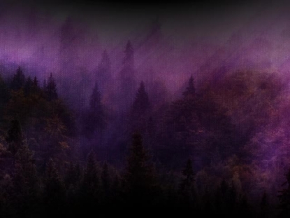 STREAMING BEAUTY 9 MOTION