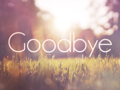 SUNLIT GRASS CLOSING MOTION