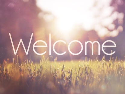 SUNLIT GRASS WELCOME MOTION