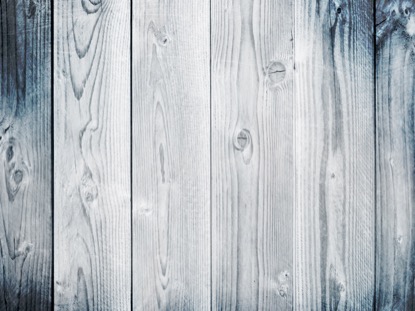 THANKSGIVING ART 2 MOTION