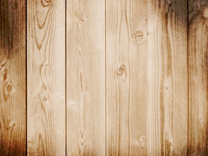 THANKSGIVING ART 4 MOTION