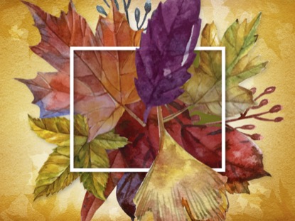 THANKSGIVING CENTERPIECE MOTION 2