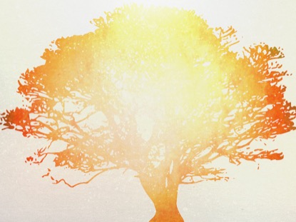 TREE OF LIFE ORANGE 1 MOTION