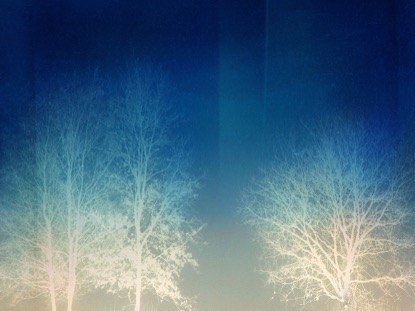 TREES OF GRACE 1 MOTION