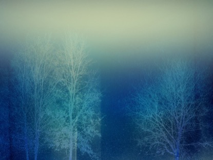 TREES OF GRACE 3 MOTION