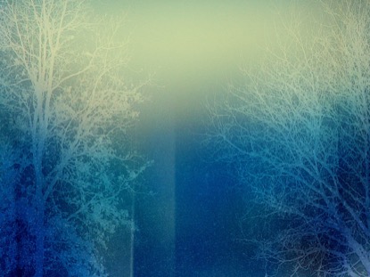 TREES OF GRACE 4 MOTION