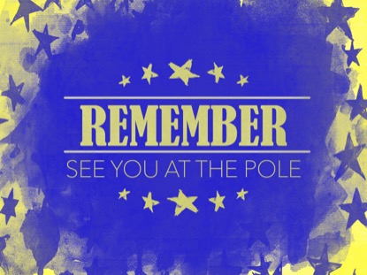 USA HOLIDAY GRUNGE POLE MOTION