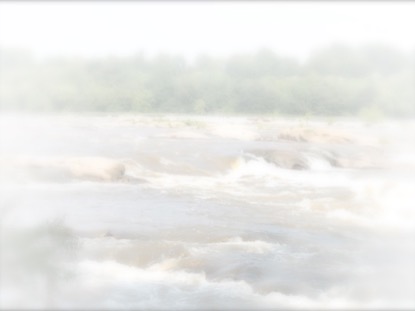 WHITE WASHED 2 MOTION