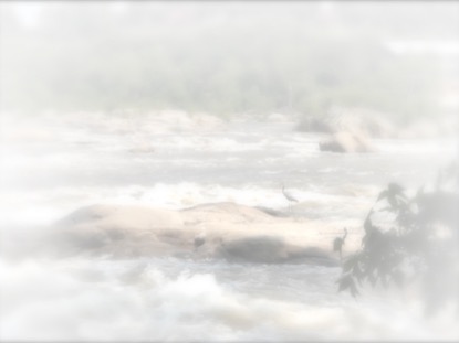 WHITE WASHED 4 MOTION