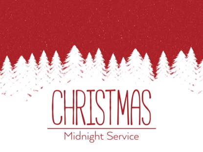 WINTER SPRUCE MIDNIGHT MOTION