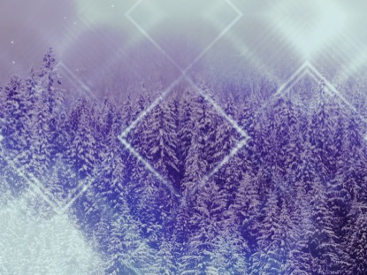 WINTER TRAILS 2 PURPLE MOTION