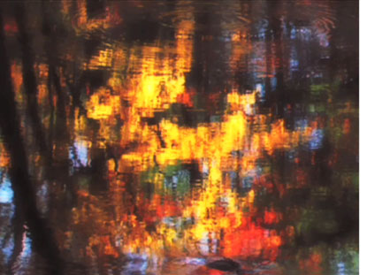 REFLECTION 2