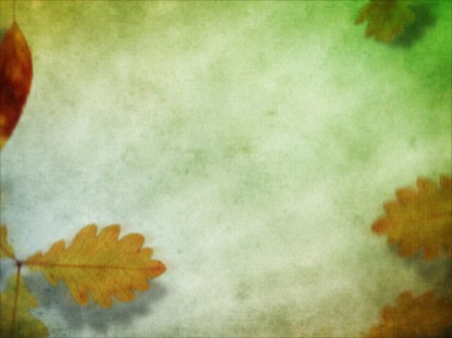 FALL LEAVES