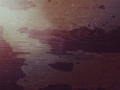 PORTRAITS OF PASSION: WOOD