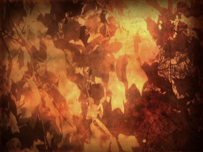 AUTUMN LEAF SILHOUTTES