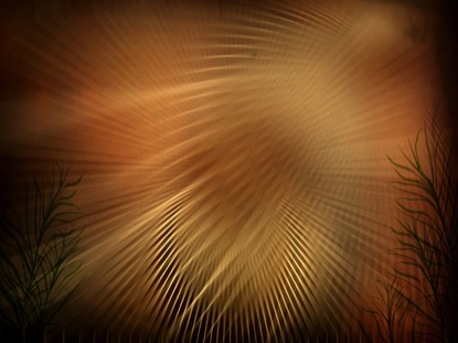 BROWN PALMS