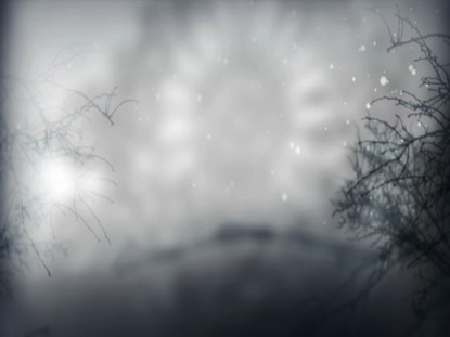 CHRISTMAS BARE BRANCHES