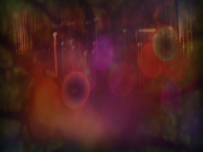 COLORFUL AUTUMN BOKEH