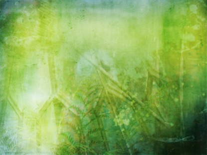 Sunday Texture Palm Sunday: Texture | PixelGirl Media | WorshipHouse Media